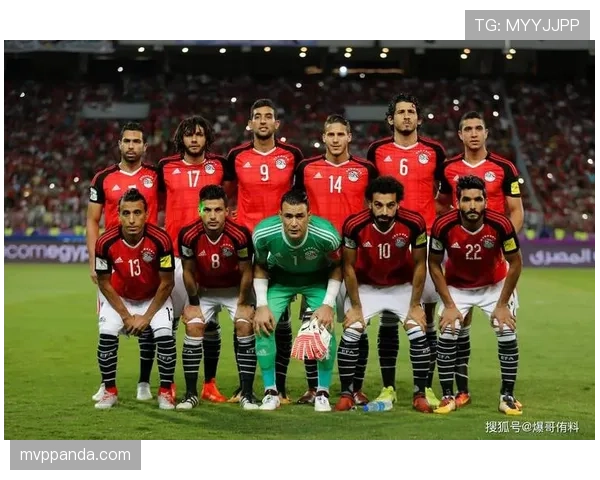 沙特冲击2026美加墨世界杯：出线前景、阵容预测与小组对手分析